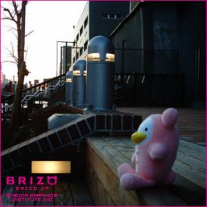 たそがれ時の道頓堀川　大阪・南堀江