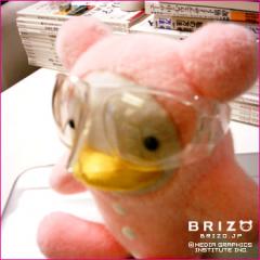 帰ってきたブリゾーさん♪