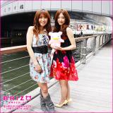 ゆるキャラBRIZO写真集