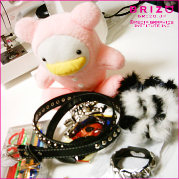 ナイトクルーズ・パーティーへの潜入準備